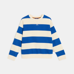 سويت شيرت مقلم أزرق للأولاد